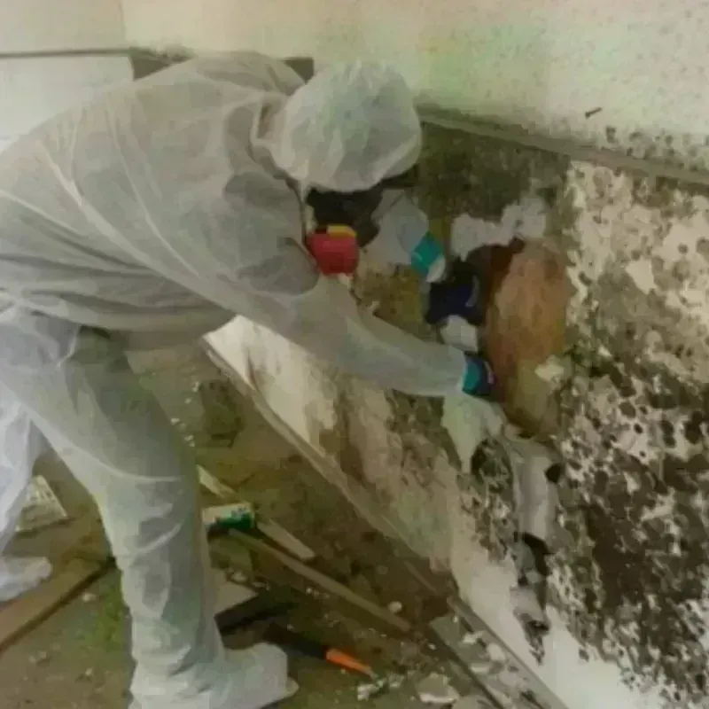 Mold Remediation and Removal in Lisbon Falls, ME